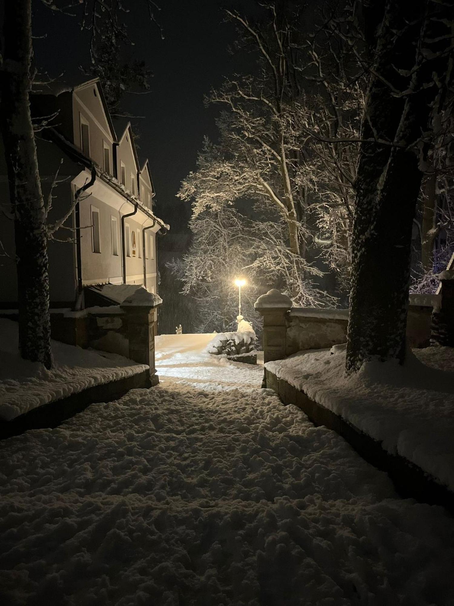 Hotel Auri Rudník Eksteriør billede
