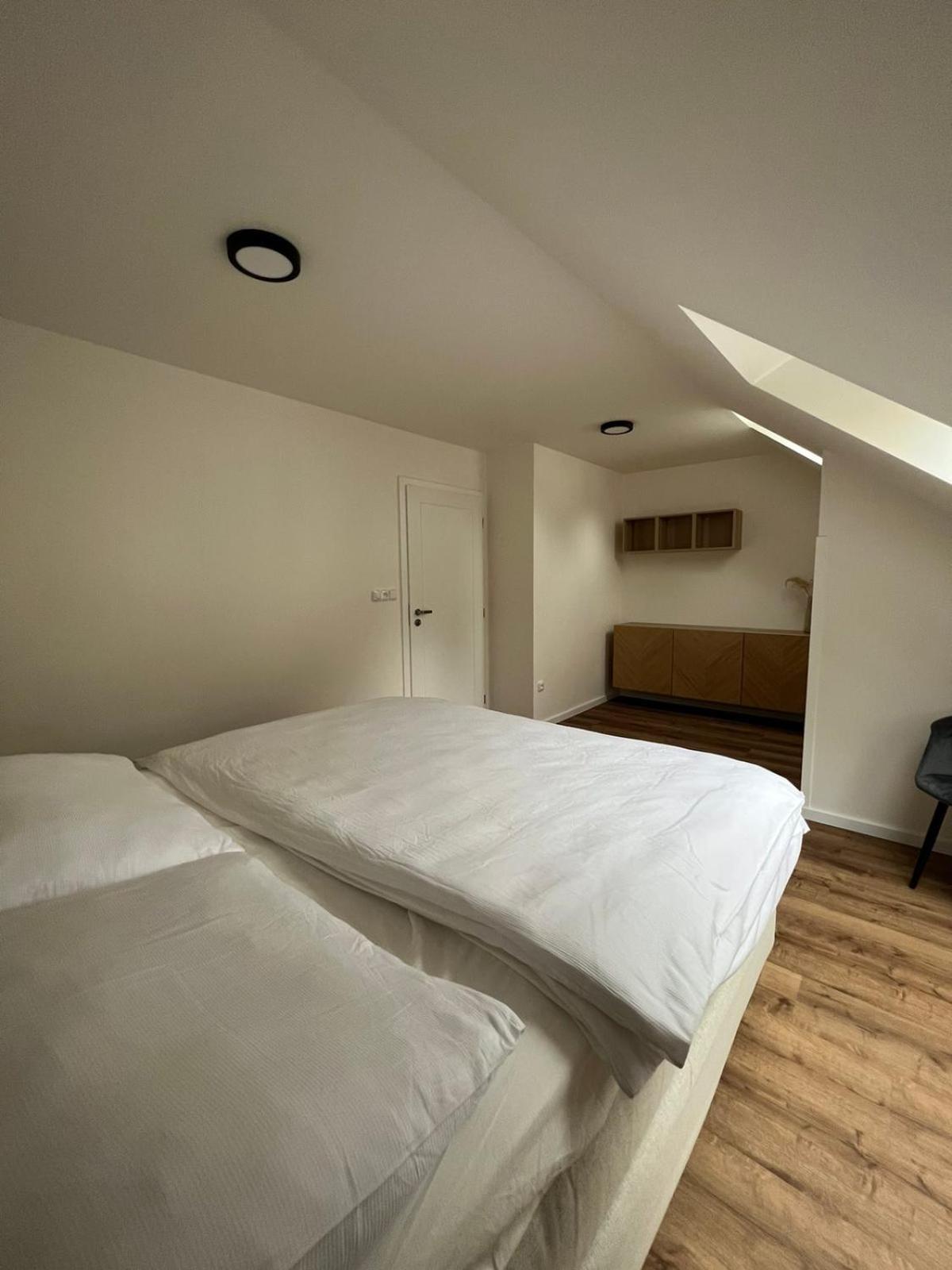Hotel Auri Rudník Eksteriør billede