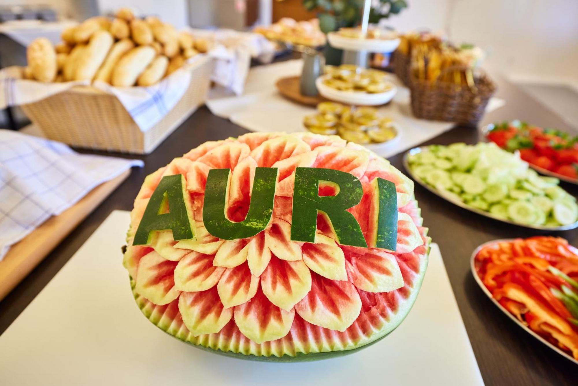 Hotel Auri Rudník Eksteriør billede